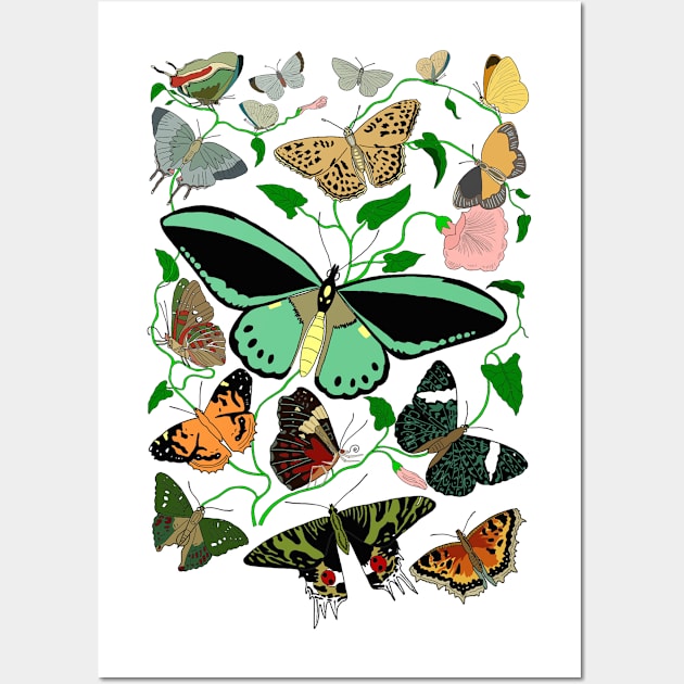 Butterflies Wall Art by DashingGecko